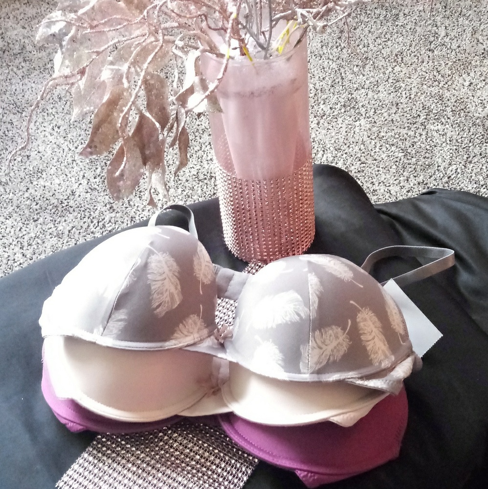 34C Brand New 3pc Bra Set